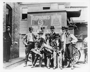 Plant Installation - Outside House